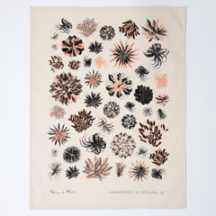 Succulent Tea Towel - Salmon