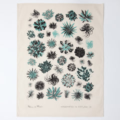 Succulent Tea Towel - Aloe